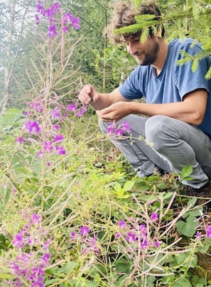 Une personne accroupie près de fleurs violettes, dans un environnement naturel.