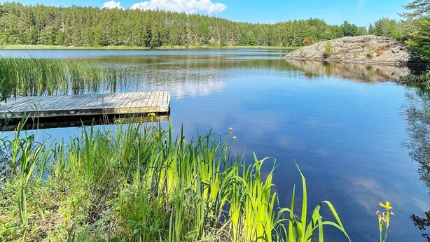 A calm lake with a wooden dock extending into the water, surrounded by lush greenery and trees. - 5 Person Holiday Home in Valdemarsvik (Valdemarsvik)