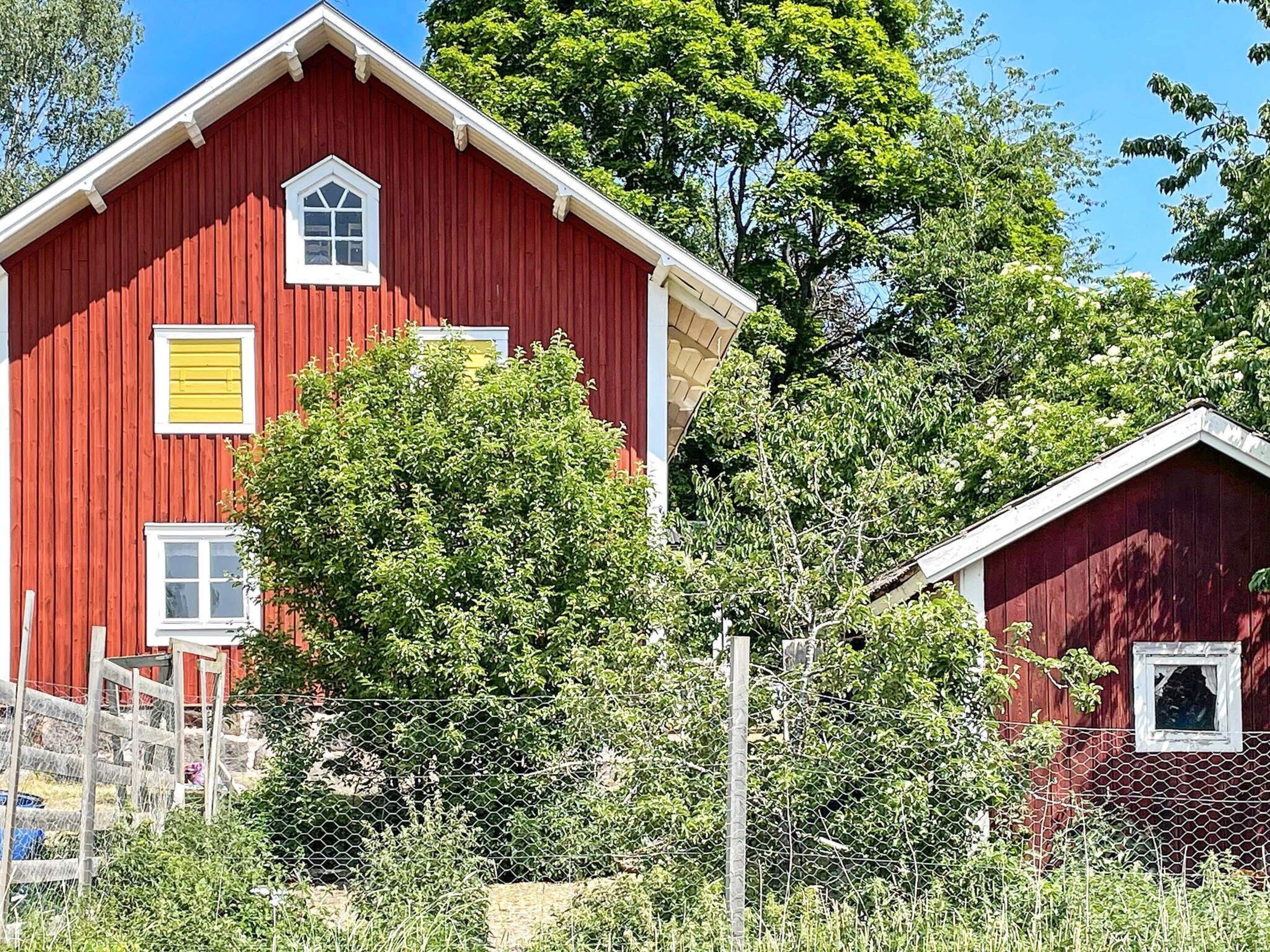 Ein rotes Bauernhaus mit einem weißen Fenster und einem gelben Fensterlädchen, umgeben von Grünpflanzen und einem Drahtzaun.