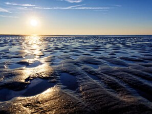 Apartment | 2 bedrooms - Holiday Apartment Langeoogtraum (Langeoog)