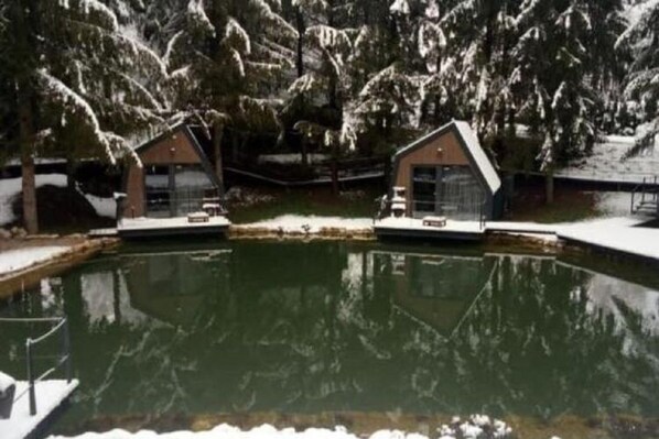 House | Pool - Holiday Home Snow Hill With Swimming Pool (Plitvicka Jezera)