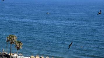 House | View from property