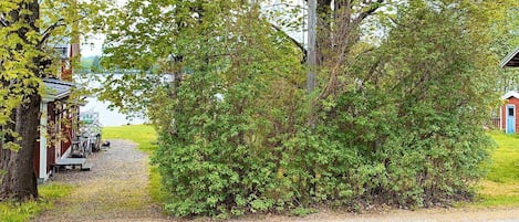 A gravel path leading to a rustic building with a blue door, surrounded by dense greenery and a body of water in the background.