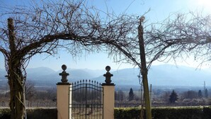 A gated entrance with a view of mountains in the background. - Belvilla by OYO Appartemento Chardonnay (Santa Giustina)