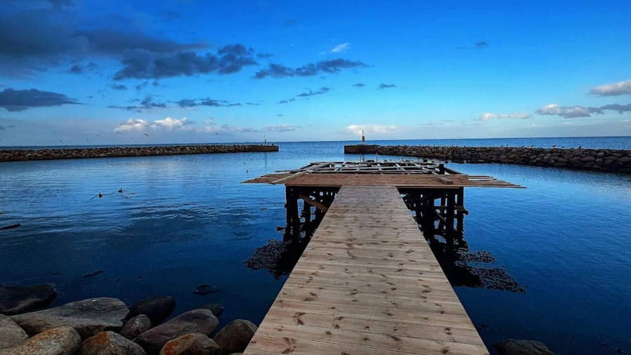 5 Star Holiday Home in Albaek
