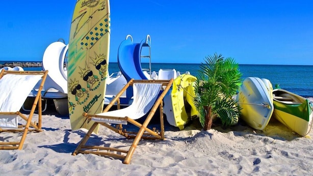 A beach with lounge chairs, a surfboard, and a small palm tree. - Achtern Diek Modern Retreat (Schönberg)
