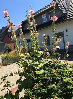Exterior - Feuerstein House Monchgut (Mönchgut-Granitz)