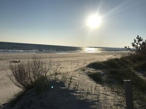 Strand