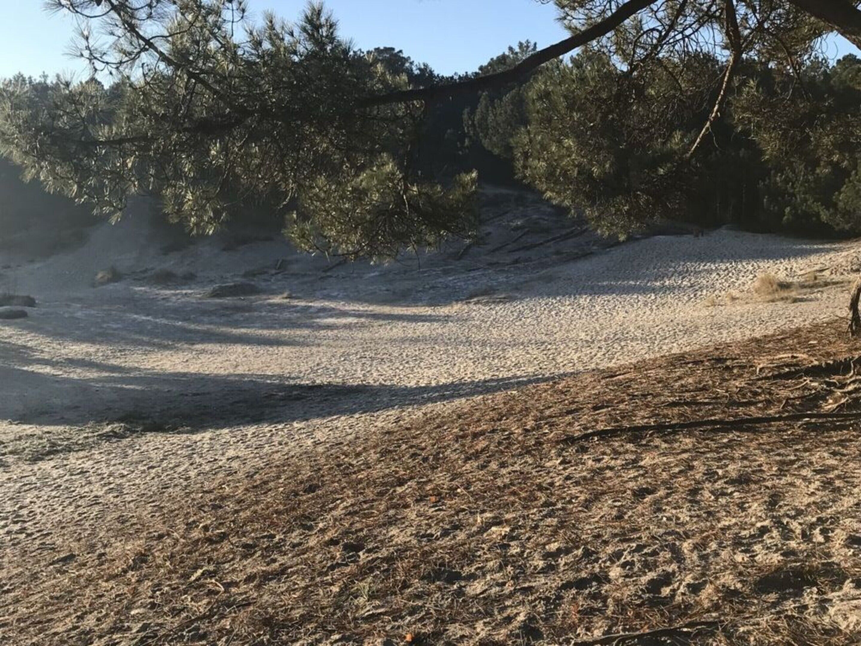 Terreno árido y rocoso con vegetación escasa y cielo despejado.