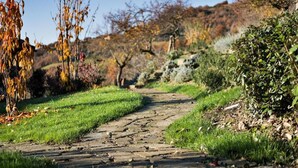 A stone pathway in a park with grass on either side and trees in the background. - Elegant Retreat in Umbria (Assisi)