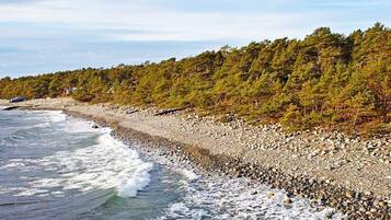 House | Beach