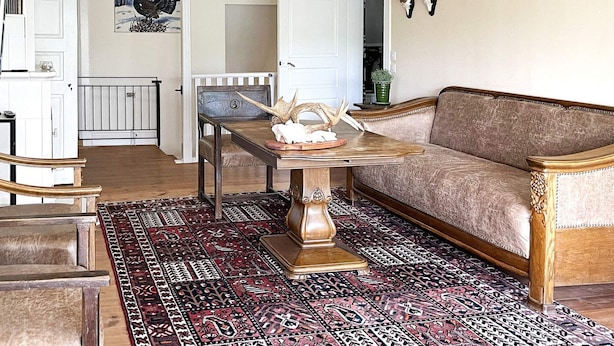 A living room with a patterned rug, a wooden coffee table, a sofa, and a wall-mounted deer head decoration.