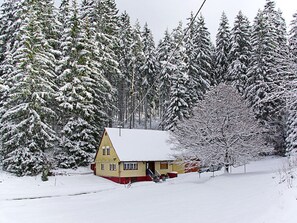 Exterior - Rappenloch Modern Retreat (Eisenbach)