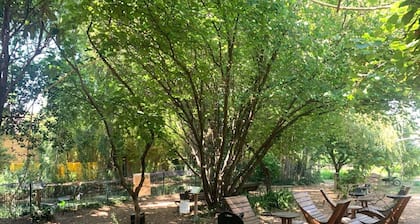 Superb Yurt of Mongolian Tradition in Provence