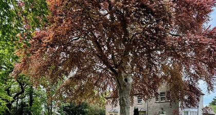 Luxury Retreat at The Old Rectory