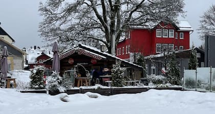 Tannenausblick Schmidt