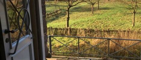 Vista desde la propiedad