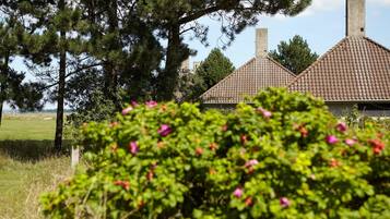 Ferienhaus | Außenbereich