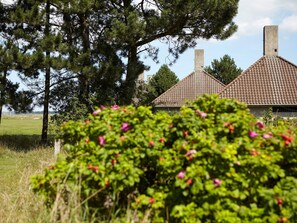 Hus | Udendørsområde