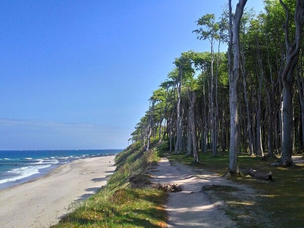 Property grounds - Schatje in het Huis Pamir (Nienhagen)