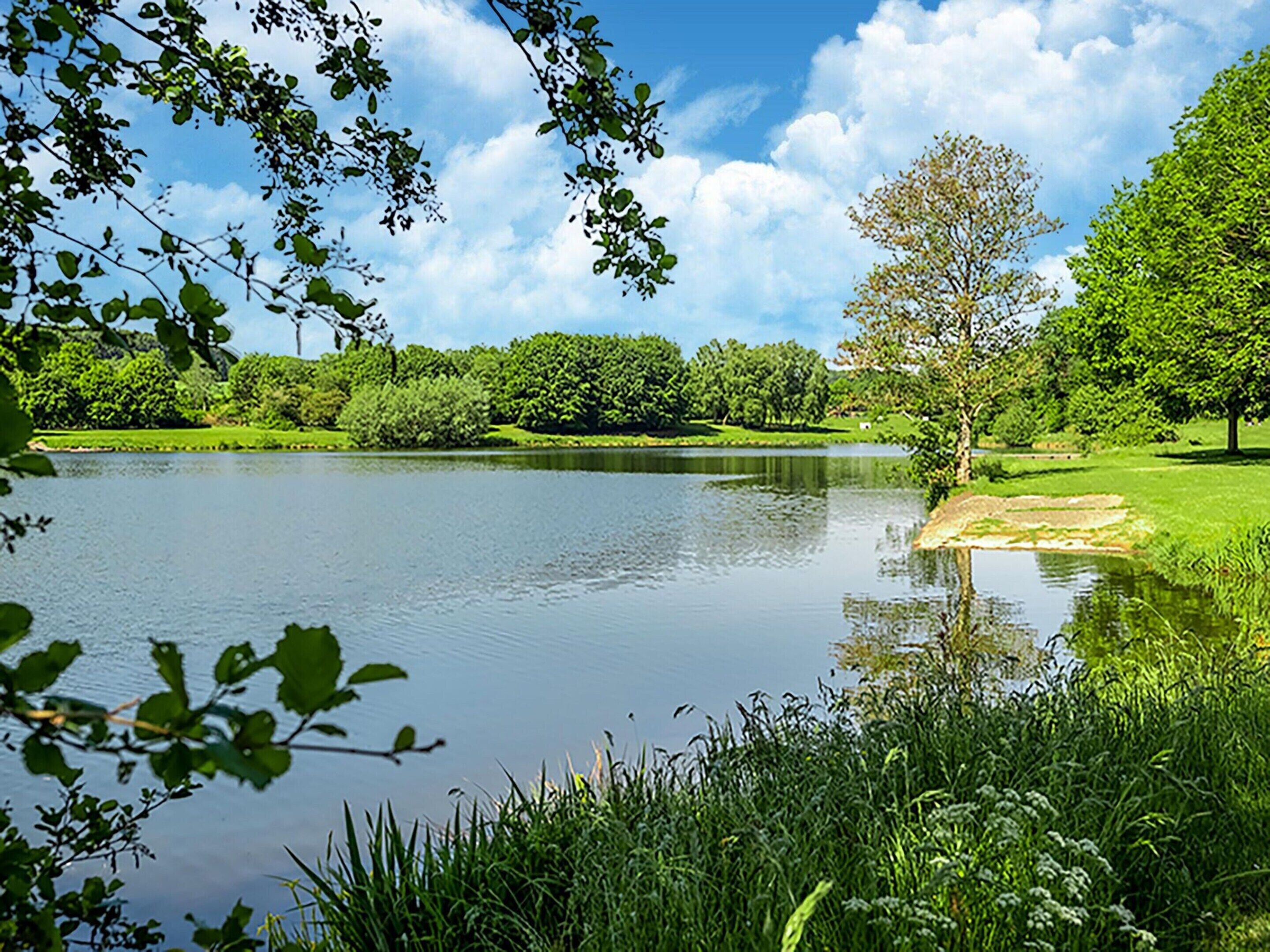 A serene lake surrounded by lush greenery and trees.