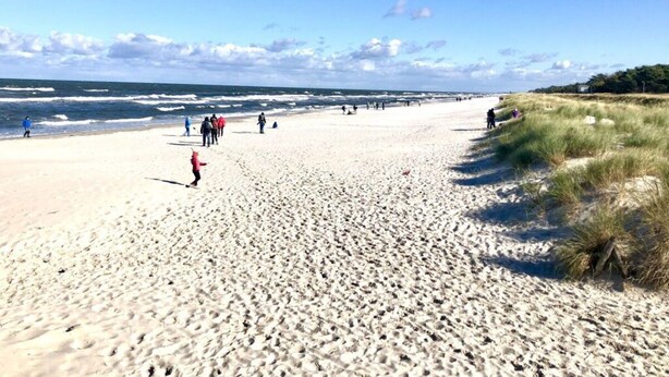 A wide sandy beach with people walking and playing, a grassy dune area, and the ocean in the background. - Seaside Apartment in Prerow (Ostseebad Prerow)