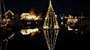 Een haven bij nacht, met een opvallende kerstboom en gebouwen met verlichting.