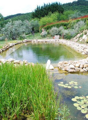 สระว่ายน้ำกลางแจ้ง