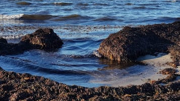 独立别墅 | 水景