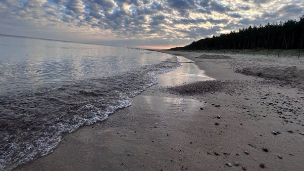 En strand med roligt hav, sandet bredde og et skovområde i baggrunden.