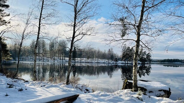 Paisagem invernal tranquila com um lago coberto de neve, árvores e um cais de madeira.