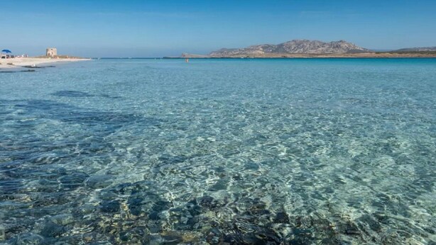 Una vista despejada del litoral, con una playa arenosa, un edificio pequeño y montañas a lo lejos.