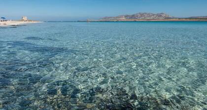 Villa in Stintino Near Pelosa Beach