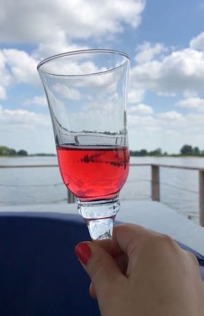 Una mano sostiene un vaso con líquido rojo, con un cuerpo de agua y el cielo como fondo.