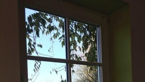 A window with a view of a garden and a basket of flowers on the sill. - Nordgluck Modern Retreat (Taarstedt)