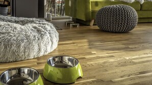 Uklassifisert bilde, 2 av 21, knapp