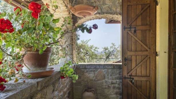 A rustic stone wall with a potted plant and a wooden door. - Villa Montecchio Comfortable Holiday Residence (Cortona)