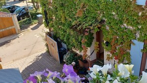 A garden area with a variety of flowers and a wall covered in ivy.