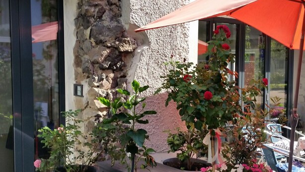A patio area with potted plants and a red umbrella.