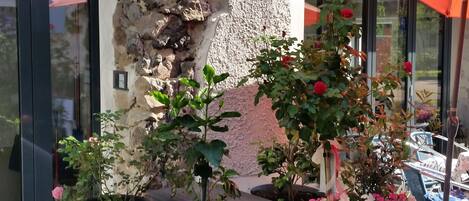 Departamento | Exterior