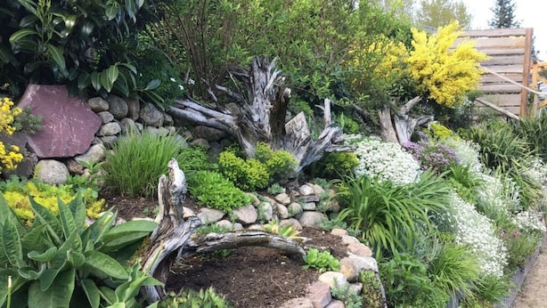 A garden with various plants and a stone wall. - Holiday Home Lalelu Comfortable Vacation Home (Jabel)