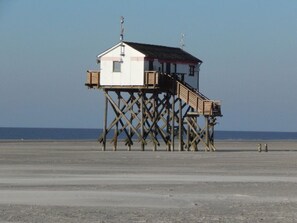 Tæt på stranden