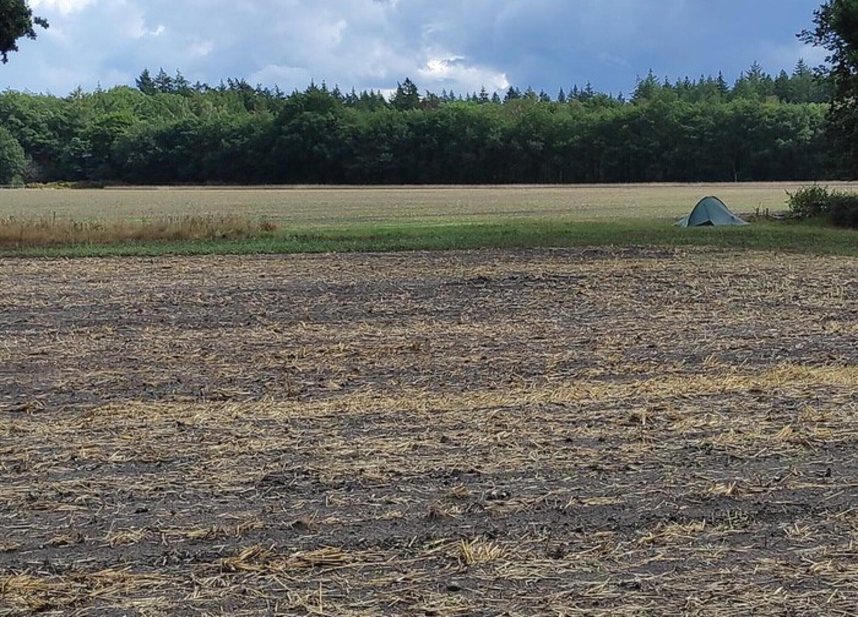 Ett tält på en åker med en skog i bakgrunden.