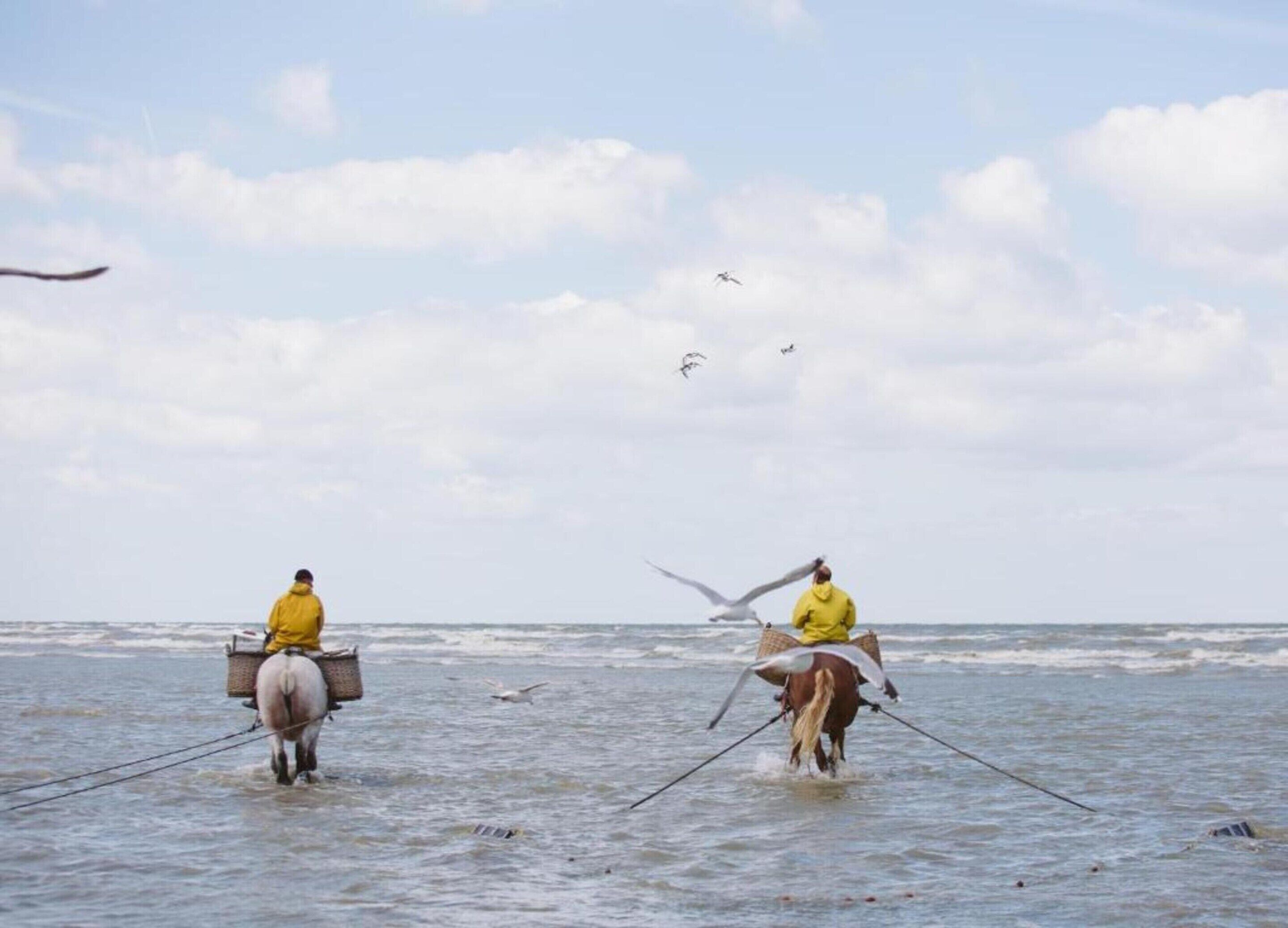 Twee mensen in gele regenjassen staan in ondiep water met hengels, een paard en vogels op de achtergrond.