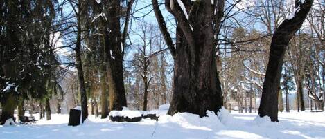 Appartement | Vue depuis l’hébergement