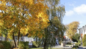 Ein Park mit Herbstlaub, einem gepflasterten Weg und Wohnhäusern im Hintergrund.