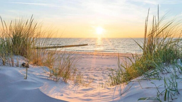 A beach scene with sand, grass, and the ocean at sunset. - Apartment in Nieuwpoort With sea View (Nieuwpoort)