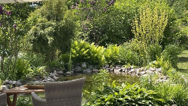 A garden with a pond, rocks, and various plants. - Holiday Home Reimers (Windeby)