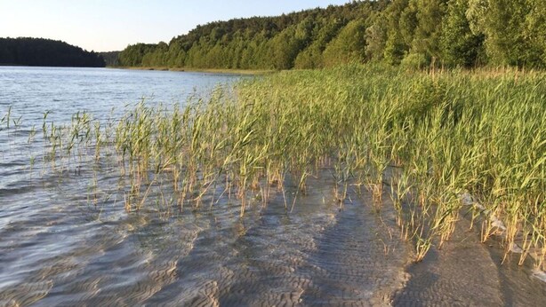 Un lac paisible aux eaux claires, qui reflète le paysage environnant.