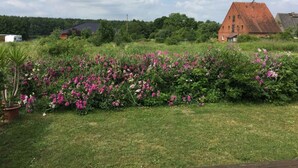 Un paysage rural avec un champ de fleurs roses, un bâtiment au toit rouge et une caravane en arrière-plan.